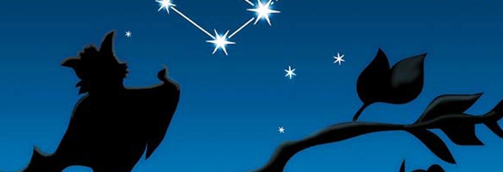 Flappi vor einem Sternbild