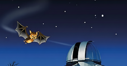 Flappi neben einer Sternwarte