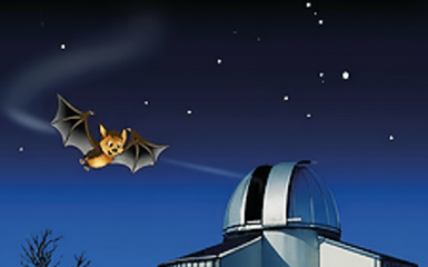 Flappi neben einer Sternwarte